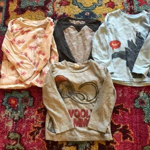 Bundle of long sleeve t-shirts